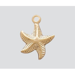 14/20 Zawieszka Gold-Filled rozgwiazda 9.5mm