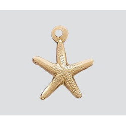 14/20 Zawieszka Gold-Filled rozgwiazda 8mm