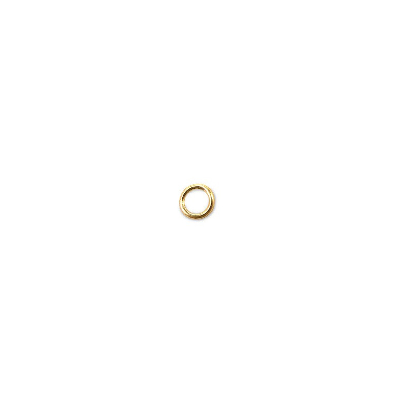 14K Złote kółko, zamknięte (.040) 6mm - heavy